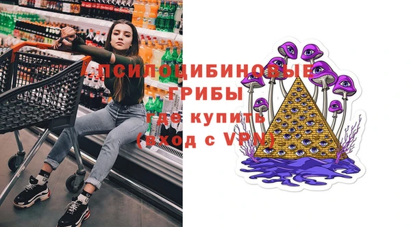 метамфетамин Богданович