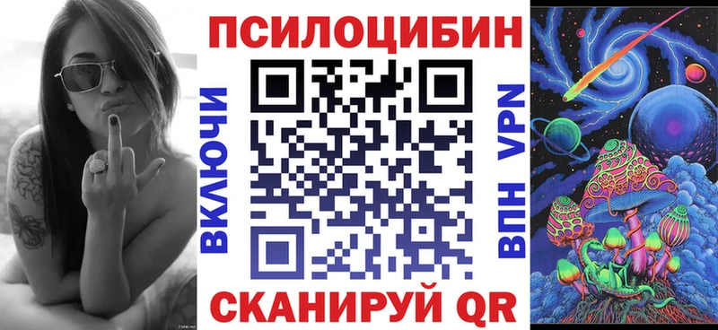 Галлюциногенные грибы Psilocybe  как найти   Ярославль 